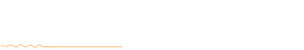 Logo Footer